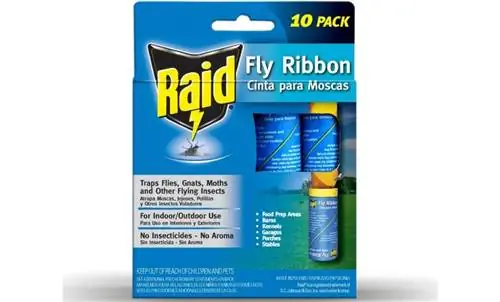 Raid Fly Ribbons Pişiklər üçün Zəhərlidirmi? Nə bilmək lazımdır