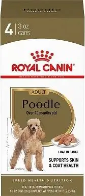 4Royal Canin igrača in miniaturni pudelj