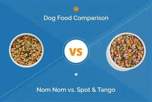 Nom Nom vs Spot & Tango: Welche Marke für frisches Hundefutter ist im Jahr 2023 besser?