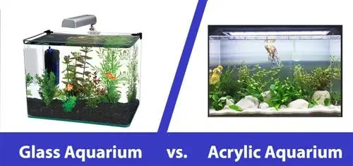 Acrylic dhidi ya Glass Aquariums: Ipi ni Bora? (Ulinganisho wa 2023)