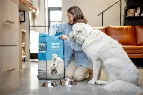 mulher alimentando seu cachorro