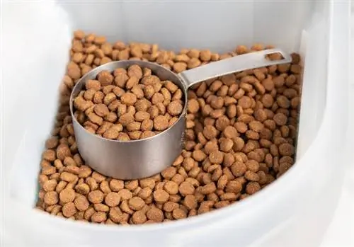 স্টোরেজ পাত্রে শুকনো কুকুর খাদ্য kibbles