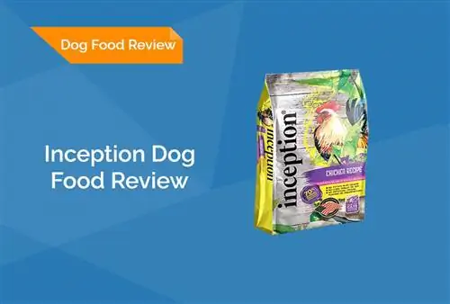 Inception Dog Food Review 2023: Recalls, Pros & Cons