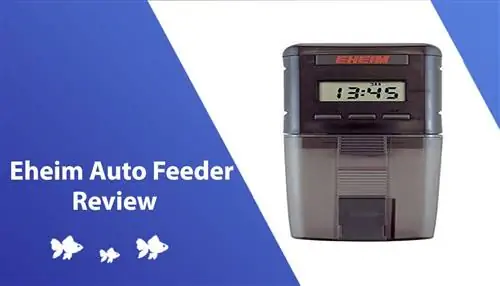 Eheim Auto Feeder Review 2023: Πλεονεκτήματα, Μειονεκτήματα & Τελική ετυμηγορία