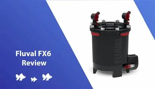 Fluval FX6 apžvalga 2023 m.: kanistrinių filtrų karalius?