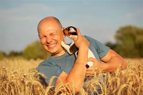 Varför slickar min hund mina öron? 6 skäl & Vad man ska göra