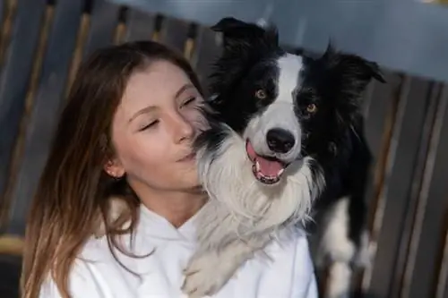 border-collie-knuffels-eigenaar-meisje