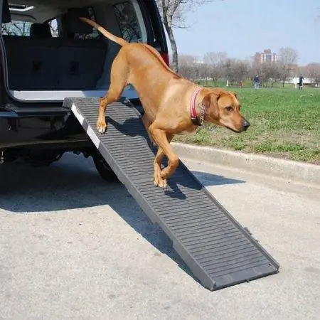 PetSTEP Lipat Pet Ramp