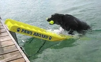 Paws Aboard Doggy Boat tikkaat ja ramppi