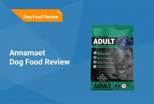 Annamaet Dog Food Review 2023: استدعاء ، إيجابيات & سلبيات