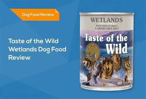 Преглед на кучешка храна Taste of the Wild Wetlands: изземвания, плюсове & минуси