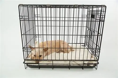 hlau folding dog crate