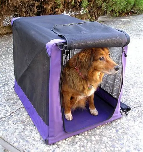 DogSoftCrate