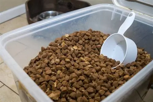 comida de cachorro em recipiente de plástico