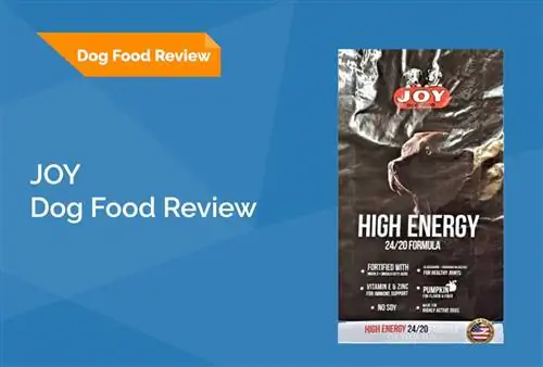 Recenze Joy Dog Food 2023: Stažení, Pros & Nevýhody