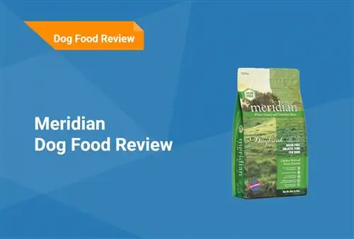 Meridian Dog Food Review 2023: terugroepacties, voordelen & nadelen