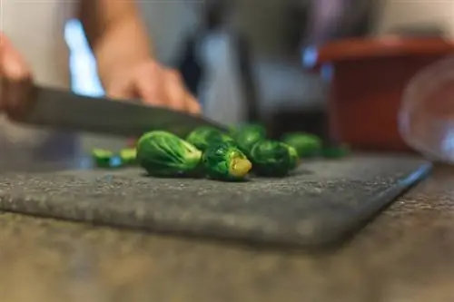 beschnittene Person, die Rosenkohl hackt