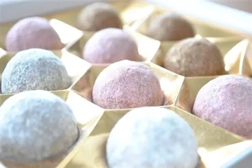 Câinii pot mânca Mochi? Ingrediente & Nutriție explicată