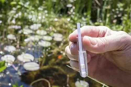 testare il pH dell'acqua del laghetto