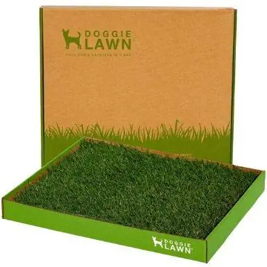 DoggieLawn Real Grass Dog Litter Box