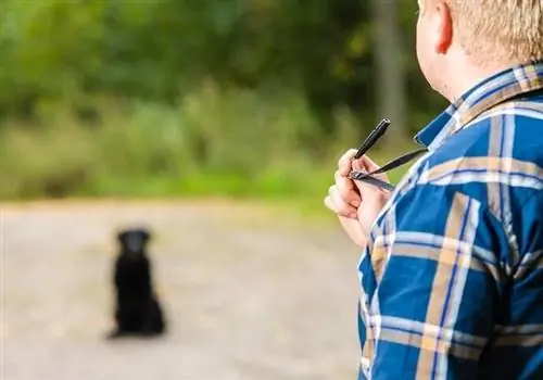 Entrenamiento con silbato para perros