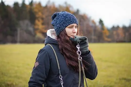 Sú píšťalky psov kruté alebo škodlivé? Fakty posúdené veterinárom & často kladené otázky