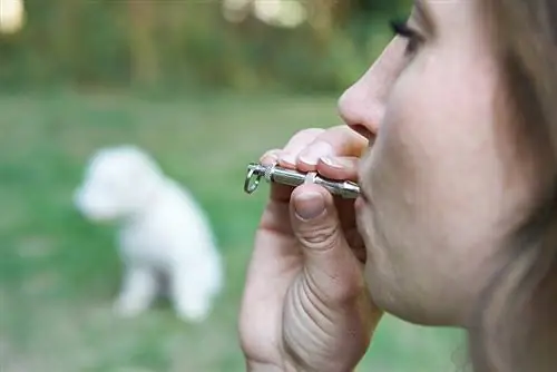 mujer usando silbato para perros