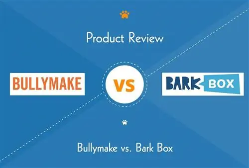 Porównanie Bullymake vs. BarkBox 2023 Dog Subscription Box