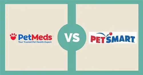 PetMeds در مقابل PetSmart