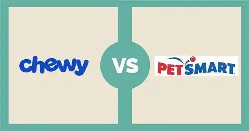 Chewy vs Petsmart