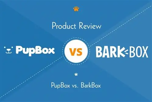 PupBox va BarkBox obunalari: Siz uchun qaysi biri yaxshiroq & Sizning kuchukchangiz?