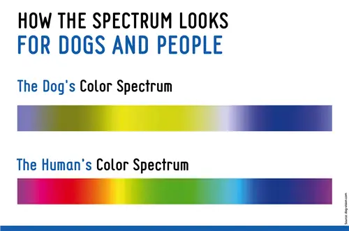 kleurenspectrum voor honden