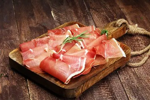 I gatti possono mangiare il prosciutto? Vet-Approved He alth & Guida alla sicurezza