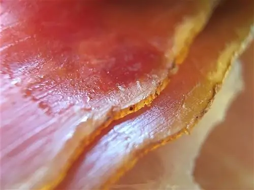 primo piano di una carne di prosciutto