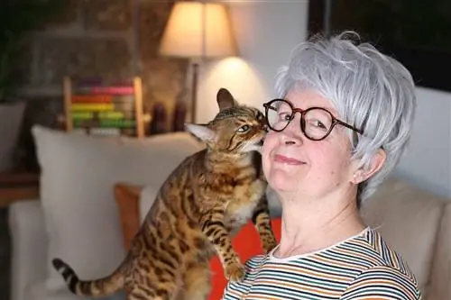 gato lamiendo oreja de mujer