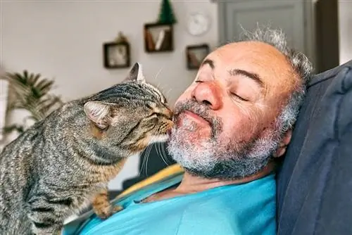 gato lamiendo la cara del hombre barbudo