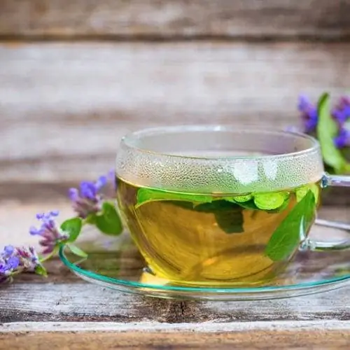 thé à l'herbe à chat fraîche dans une tasse en verre