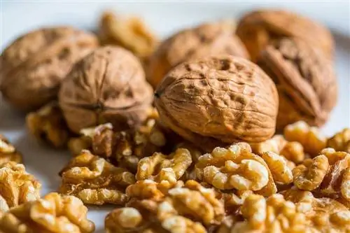 s alted walnuts