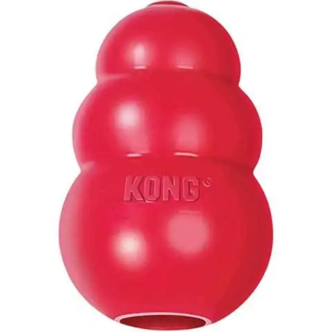 KONG Classic Dog Toy