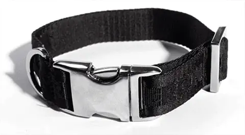 Velmi důležitá štěňata Heron Preston Full Logo Black Tape Collar