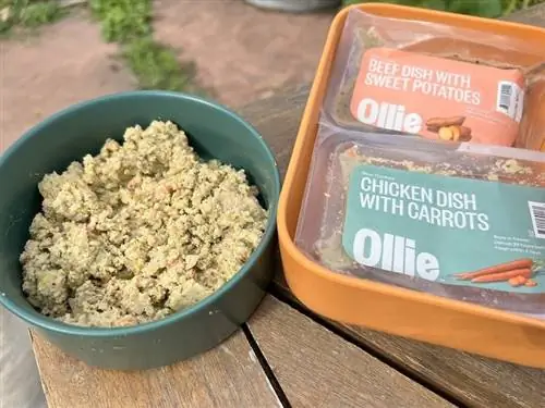 Alimento fresco para perros Ollie en un bol