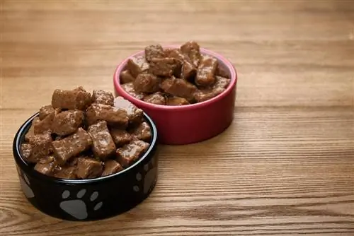 Comida de cachorro molhada em tigelas de alimentação