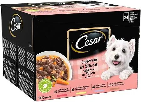 9Cesar Deliciously Fresh - mokra hrana za pse za odrasle pse 1+ favorita u sosu