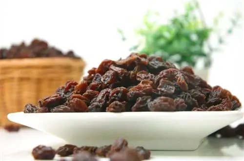 plateau de raisins secs