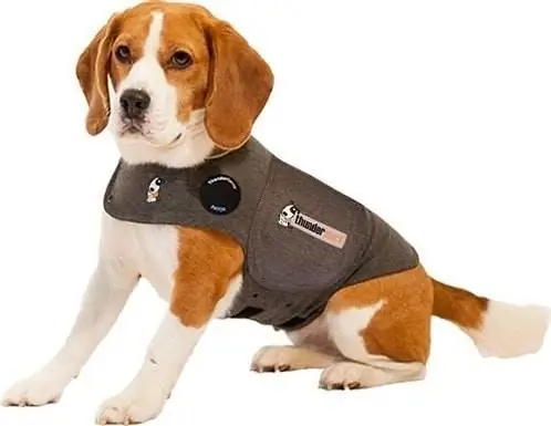 ThunderShirt