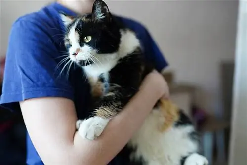 een vrouw die een kat knuffelt in een asiel