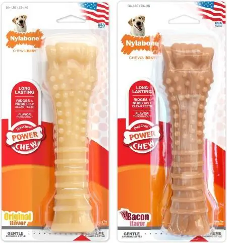 Nylabone Power Chew