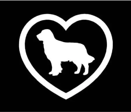 Hart Hond Puppy Plakker Motor Venster Vinyl Decal