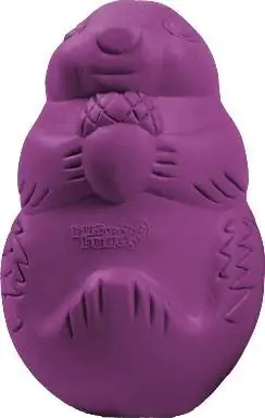 Busy Buddy Squirrel Dude Treat Dispenser Tough Chew Toy Toy