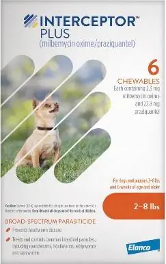 Interceptor Plus Chew untuk Anjing